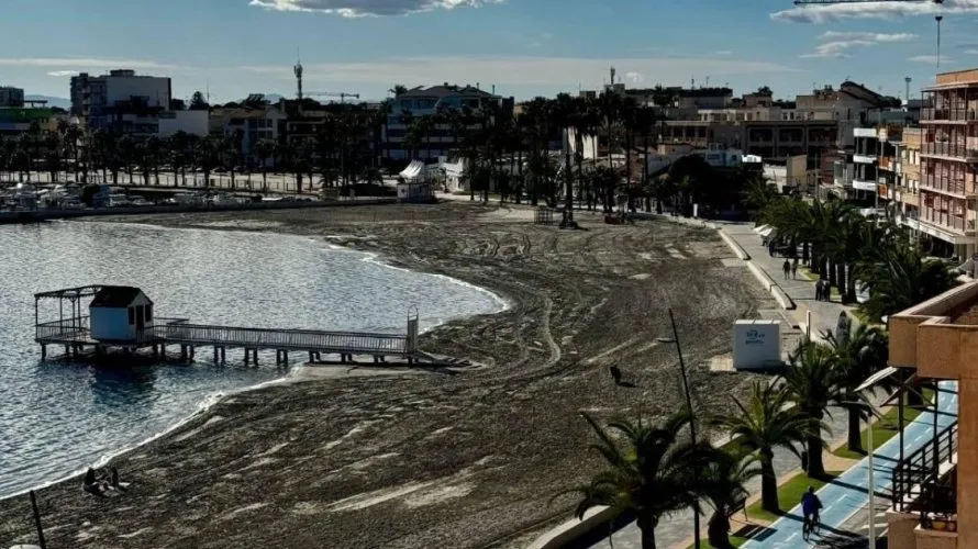 Apartamento de 3 dormitorios en San Pedro del Pinatar, Spain No. 784 № 18