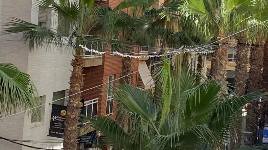 Apartamento de 4 dormitorios en Torrevieja, Spain No. 781 № 12