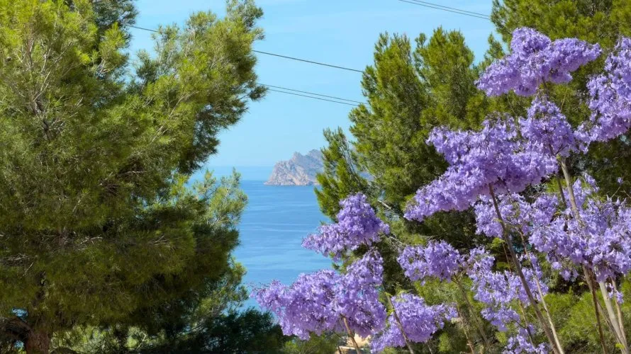 Apartamento de 3 dormitorios en Zona Altea Hills, Spain No. 1128 № 5
