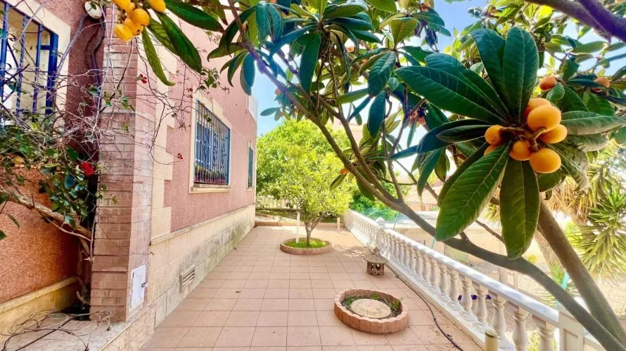 Villa de 3 dormitorios en Torrevieja, Spain No. 120 № 21