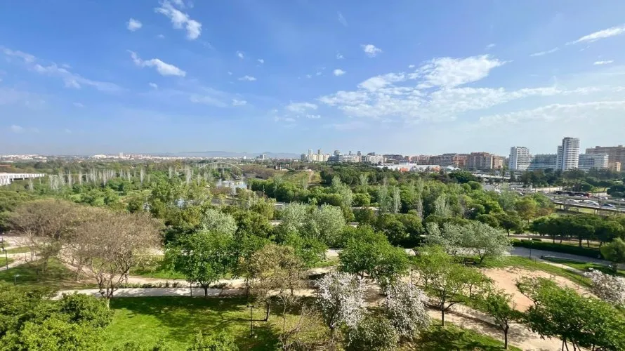 Apartamento de 1 dormitorio en Mislata, Spain No. 879 № 11