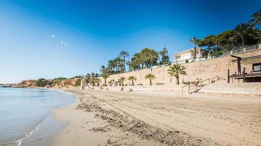 Villa de 4 dormitorios en Torrevieja, Spain No. 442 № 12