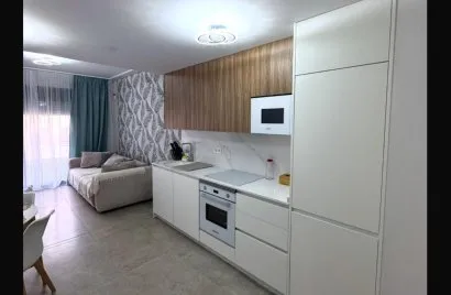Apartamento de 1 dormitorio en Torrevieja, Spain No. 1103