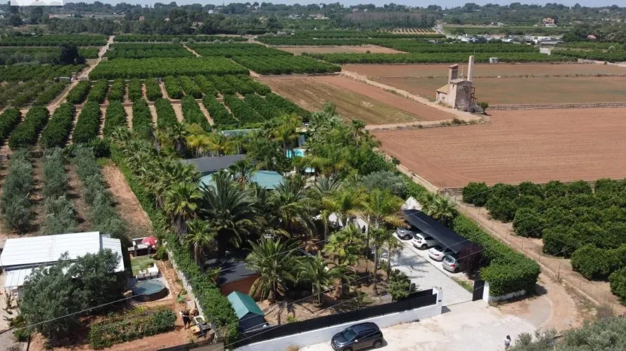 Apartamento de 7 dormitorios en Bétera, Spain No. 1242 № 26