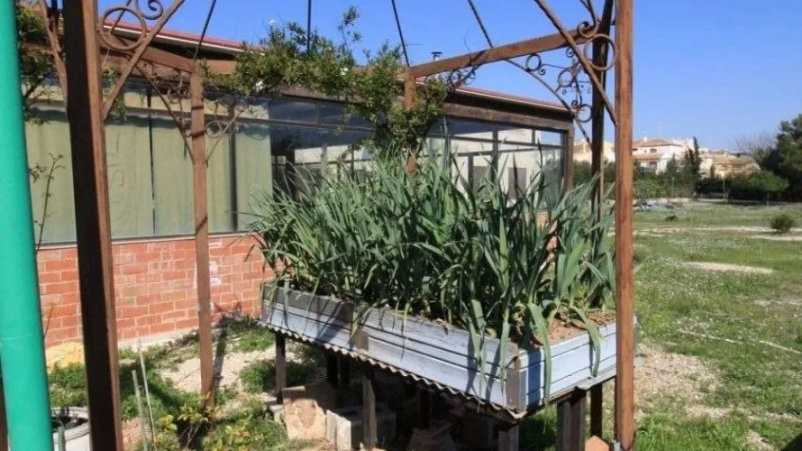 Apartamento de 2 dormitorios en Campoamor, Spain No. 264 № 10
