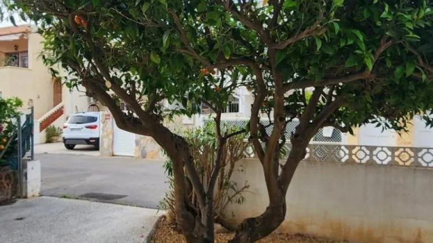 Сasa de 3 dormitorios en Albir, Spain No. 881 № 11
