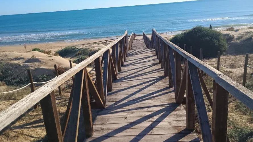 Apartamento de 2 dormitorios en Guardamar del Segura, Spain No. 2209 № 1