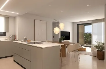 Apartamento de 1 dormitorio en Catral, Spain No. 2196