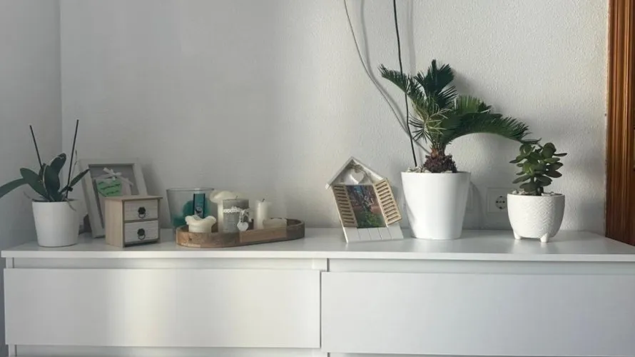 Apartamento de 1 dormitorio en Torrevieja, Spain No. 2134 № 2