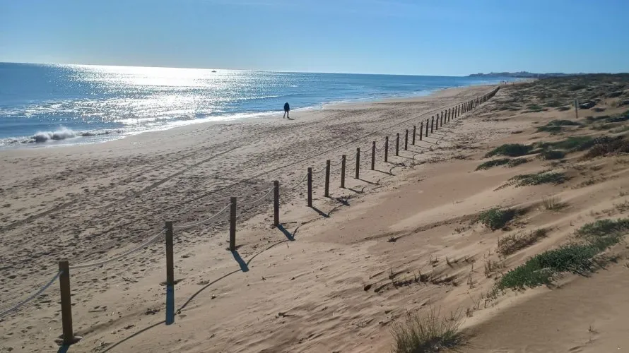 Apartamento de 2 dormitorios en Guardamar del Segura, Spain No. 2209