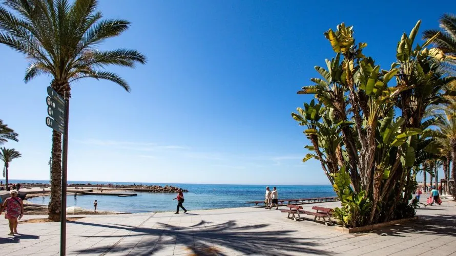 Apartamento de 24m² en Torrevieja, Spain No. 2576 № 4