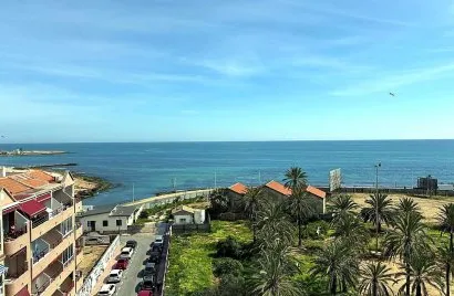 Apartamento de 1 dormitorio en Torrevieja, Spain No. 2581