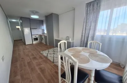 Apartamento de 1 dormitorio en Torrevieja, Spain No. 2641