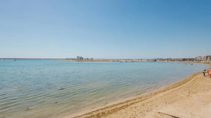 Apartment de 100m² à Torrevieja, Spain No. 1055 № 25