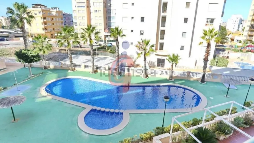 Penthouse de 4 chambres à Guardamar del Segura, Spain No. 1091 № 4