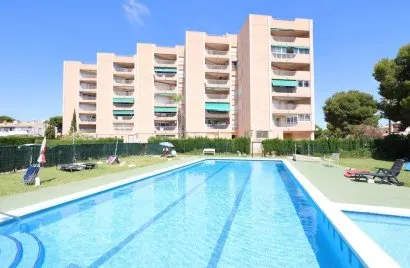 Apartment de 3 chambres à La Zenia, Spain No. 1416