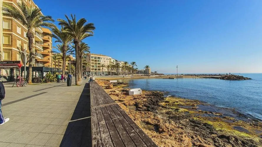 Apartment de 3 chambres à Torrevieja, Spain No. 240 № 8