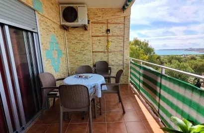 Apartment de 2 chambres à Torrevieja, Spain No. 1030