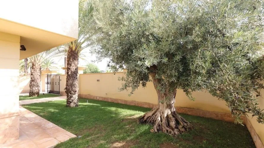 Apartment de 4 chambres à Cabo Roig, Spain No. 846 № 26