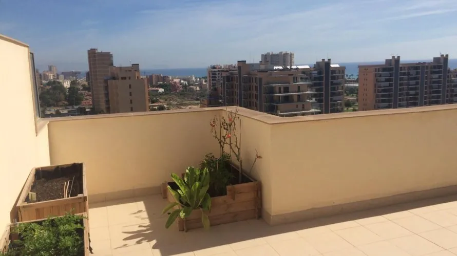 Penthouse de 4 chambres à Alicante, Spain No. 1114 № 8