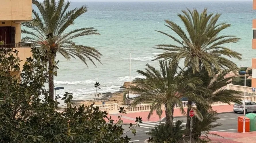 Apartment de 1 chambre à Torrevieja, Spain No. 2132 № 7