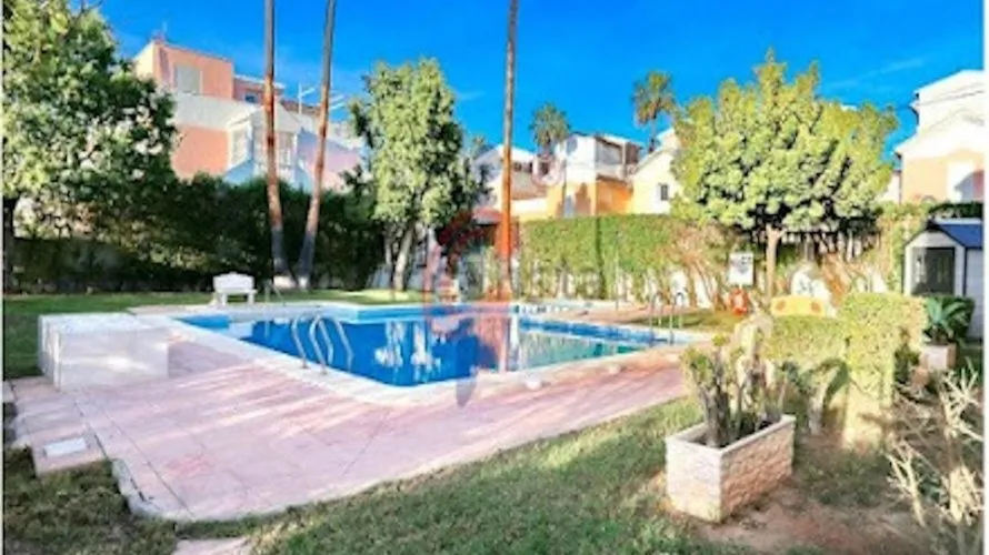 House de 1 chambre à Guardamar del Segura, Spain No. 2430 № 4