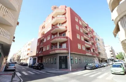 Apartment de 1 chambre à Torrevieja, Spain No. 2409