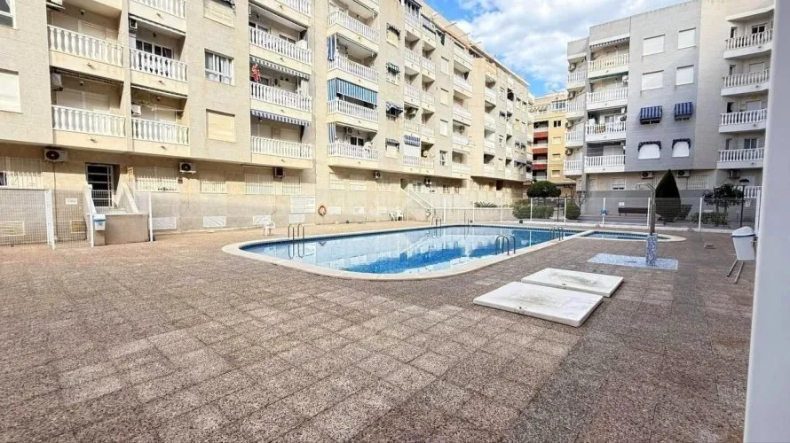 Apartment de 1 chambre à Torrevieja, Spain No. 2556 № 17