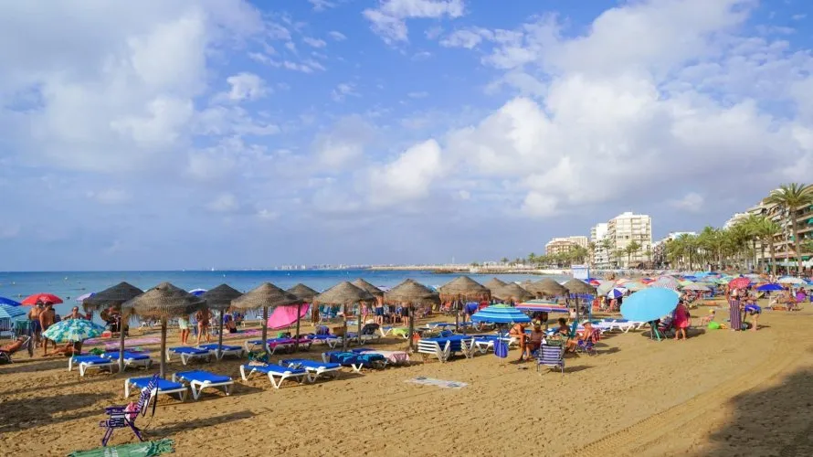 Apartment de 1 chambre à Torrevieja, Spain No. 2491 № 4