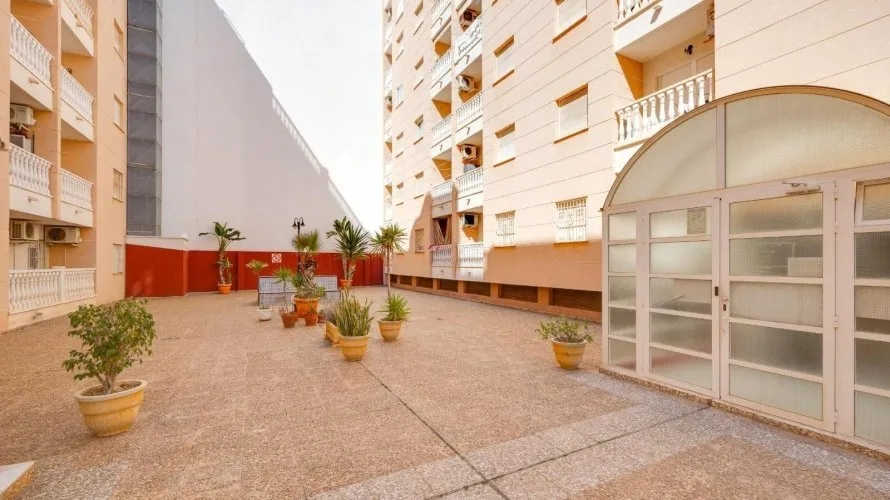 Apartment de 1 chambre à Torrevieja, Spain No. 2505 № 4