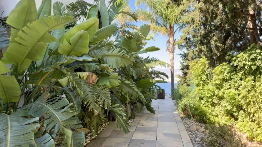 Villa de 5 chambres à Benidorm, Spain No. 2683 № 18