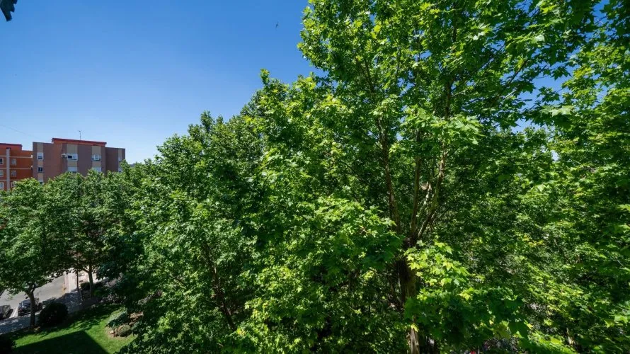 Квартира с 1 спальней в Фуэнлабрада, Испания №1366 № 4