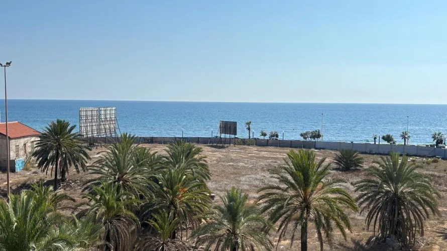 Квартира с 1 спальней в Торревьеха, Испания №233 № 8