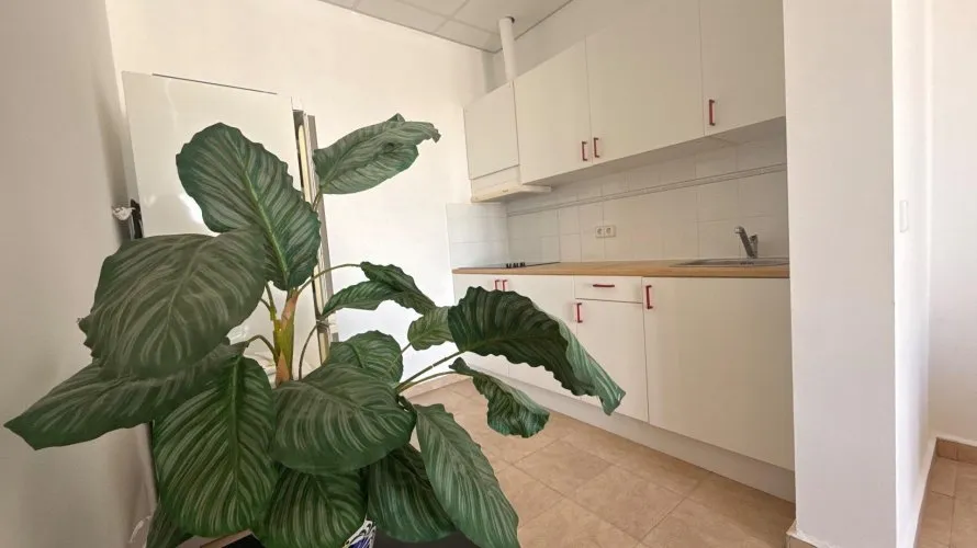 384m² villa for sale, Calpe, Spain No. 153 № 8
