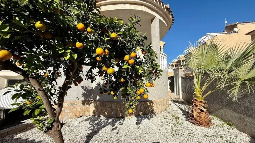 4 bedrooms villa for sale, Playa Flamenca II, Spain No. 169 № 13
