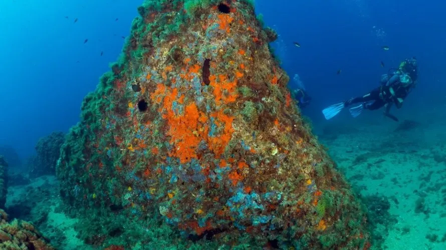 2 bedrooms penthouse for sale, Aguilas, Spain No. 282 № 10
