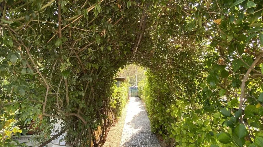 4 bedrooms villa for sale, L'Alfàs del Pi, Spain No. 452 № 12