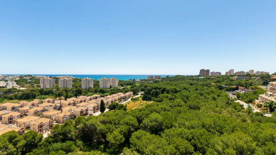 65m² apartment for sale, Dehesa De Campoamor, Spain No. 885 № 28