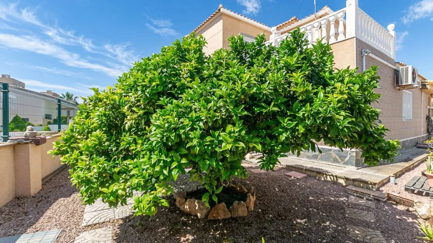 158m² villa for sale, Cabo Roig, Spain No. 1166 № 19