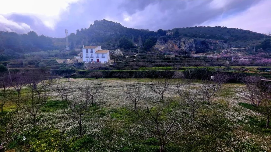 7 bedrooms house for sale, Guadalest, Spain No. 1199 № 26