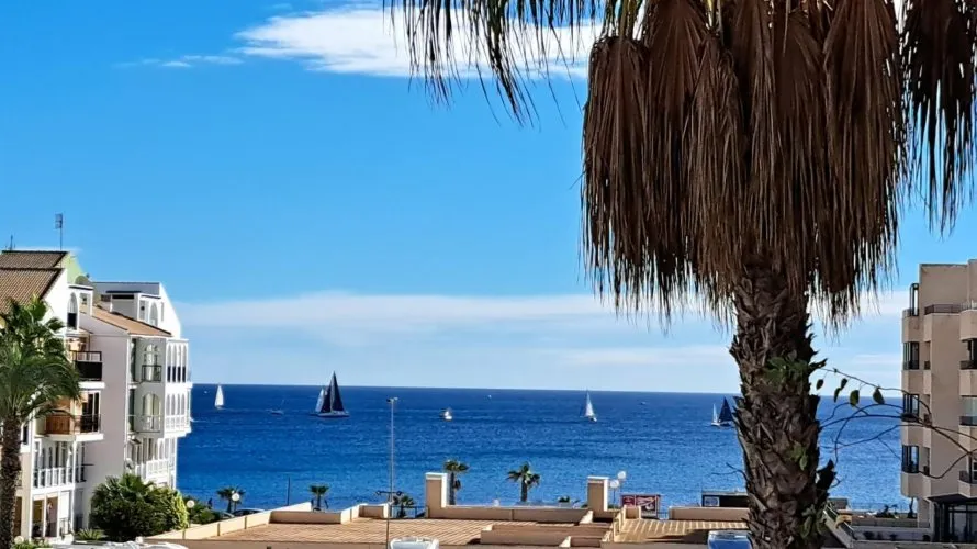 1 bedroom apartment for sale, La Veleta, Spain No. 2203
