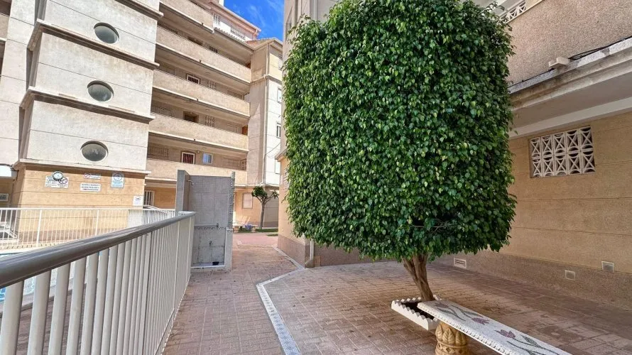 2 bedrooms apartment for sale, Torrevieja, Spain No. 1737