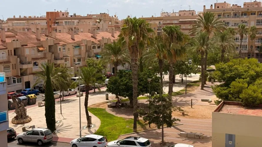 1 bedroom apartment for sale, Torrevieja, Spain No. 2448 № 25