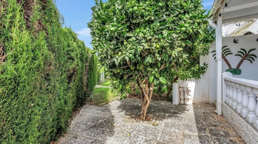 42m² house for sale, Alicante, Spain No. 2454 № 25
