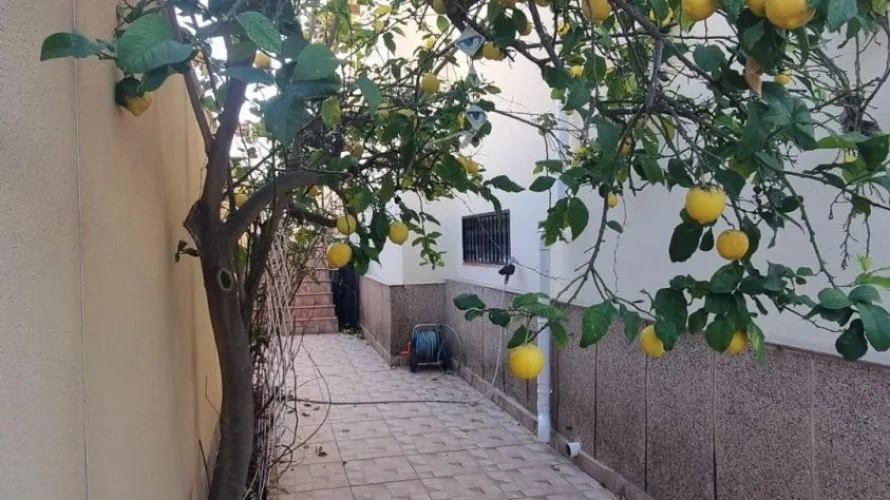 4 bedrooms villa for sale, Los Balcones, Spain No. 2580 № 16