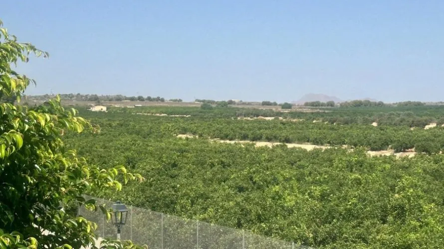 Villa for sale, Algorfa, Spain No. 2517 № 1
